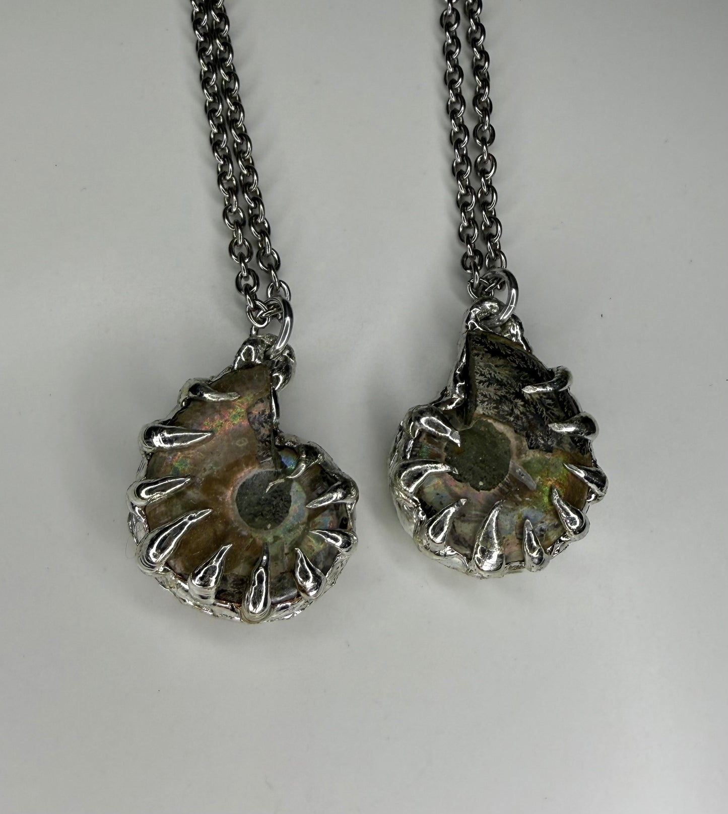 Ammonite Fossil Necklace