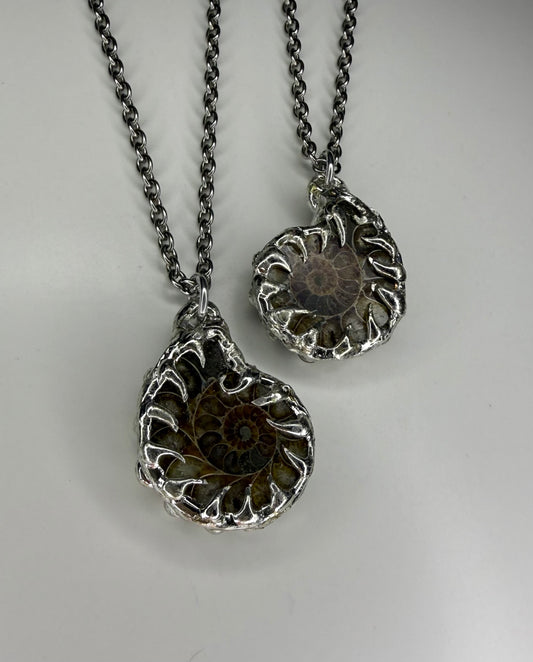 Ammonite Fossil Necklace