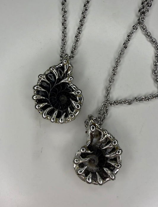 Ammonite Fossil Necklace (black)