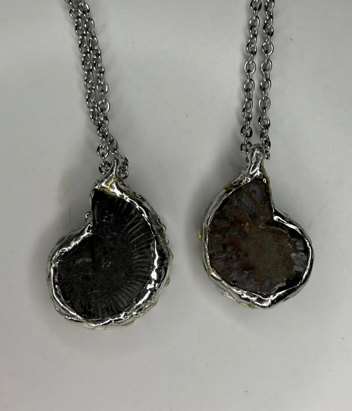Ammonite Fossil Necklace (black)
