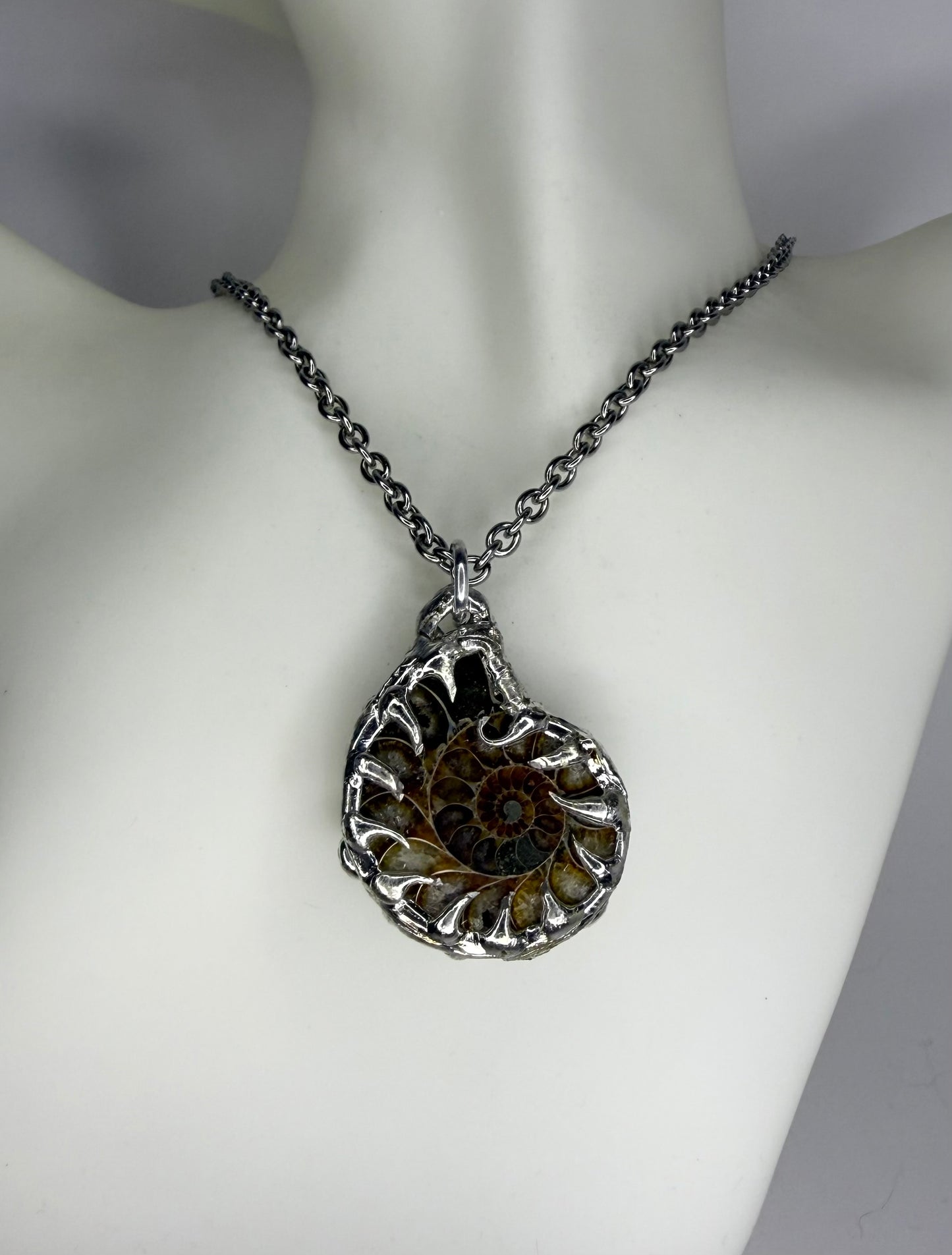 Ammonite Fossil Necklace