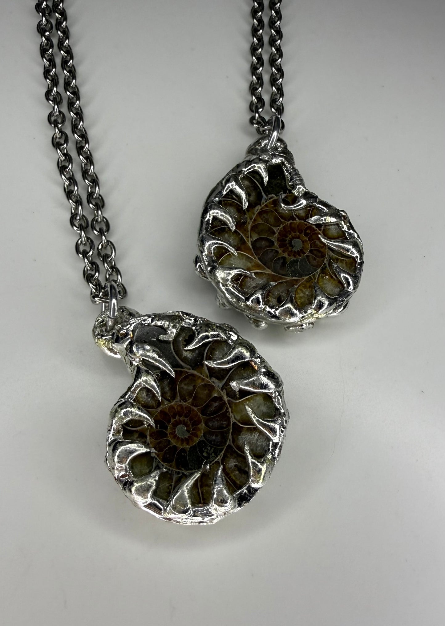 Ammonite Fossil Necklace