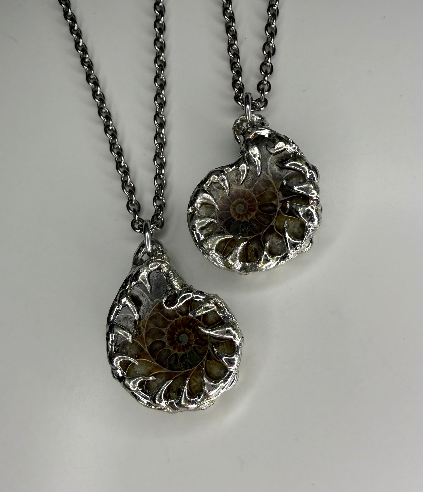 Ammonite Fossil Necklace