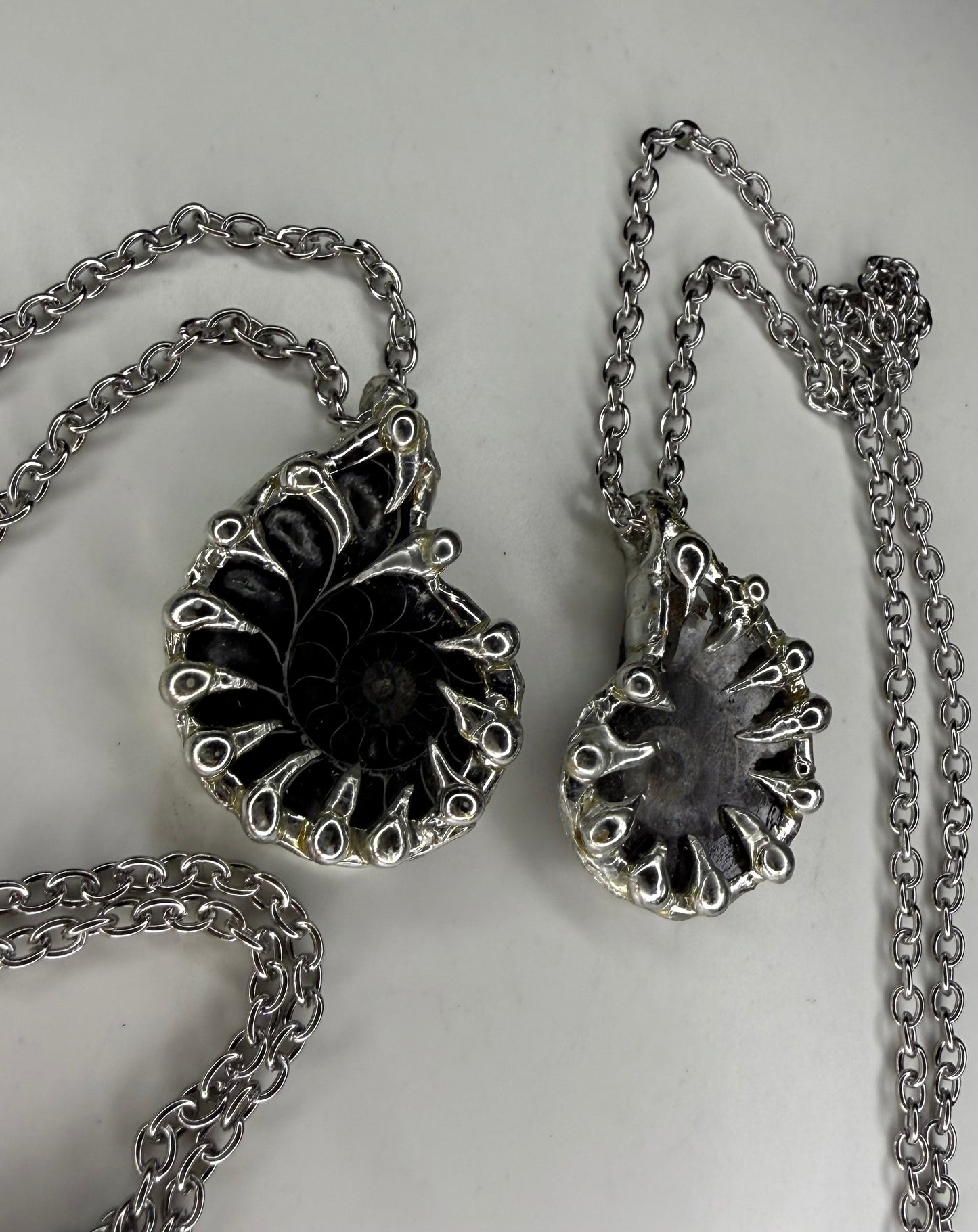 Ammonite Fossil Necklace (black)