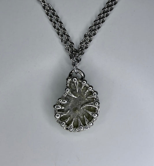 Ammonite Fossil Necklave
