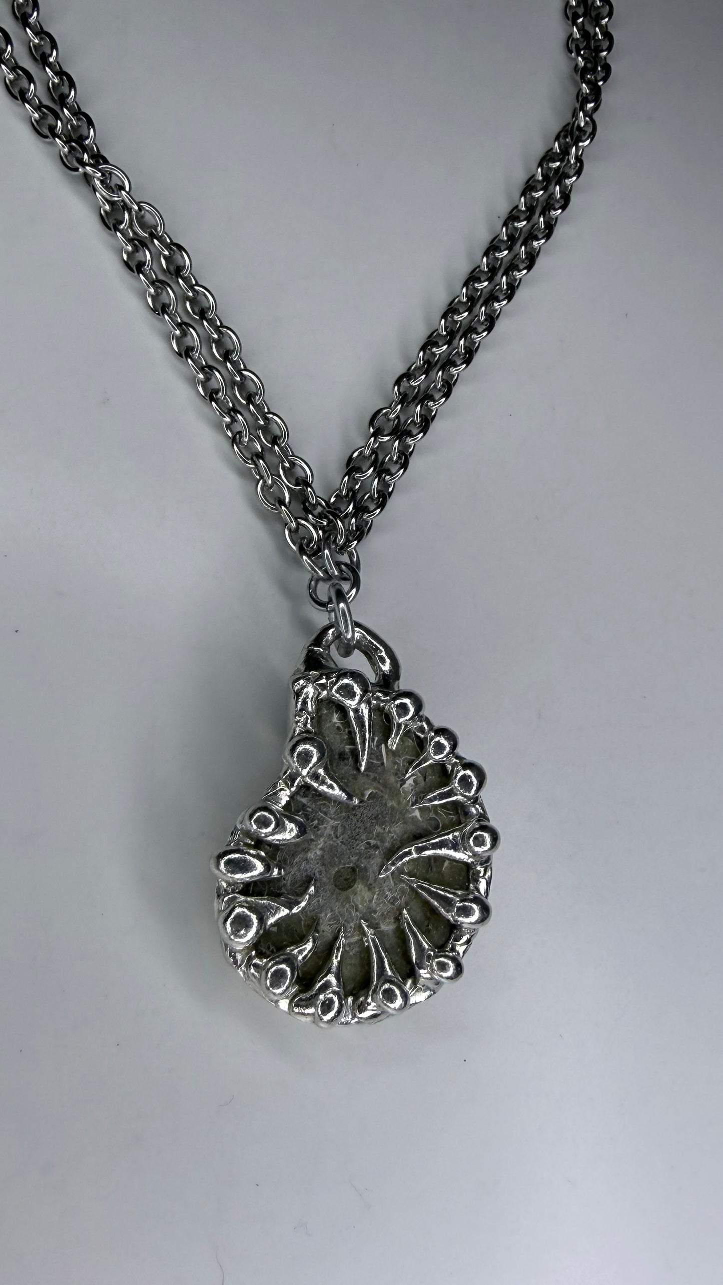 Ammonite Fossil Necklave