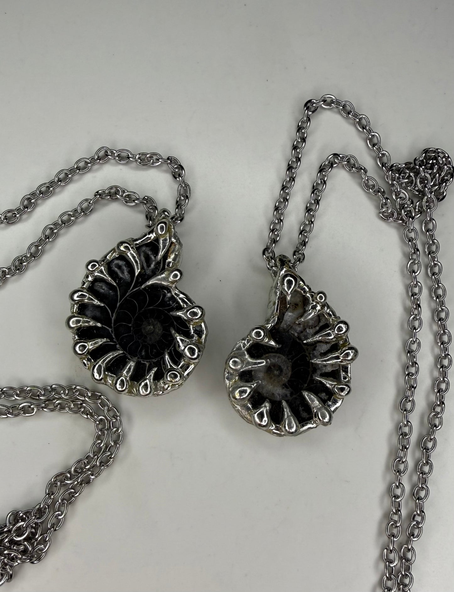 Ammonite Fossil Necklace (black)