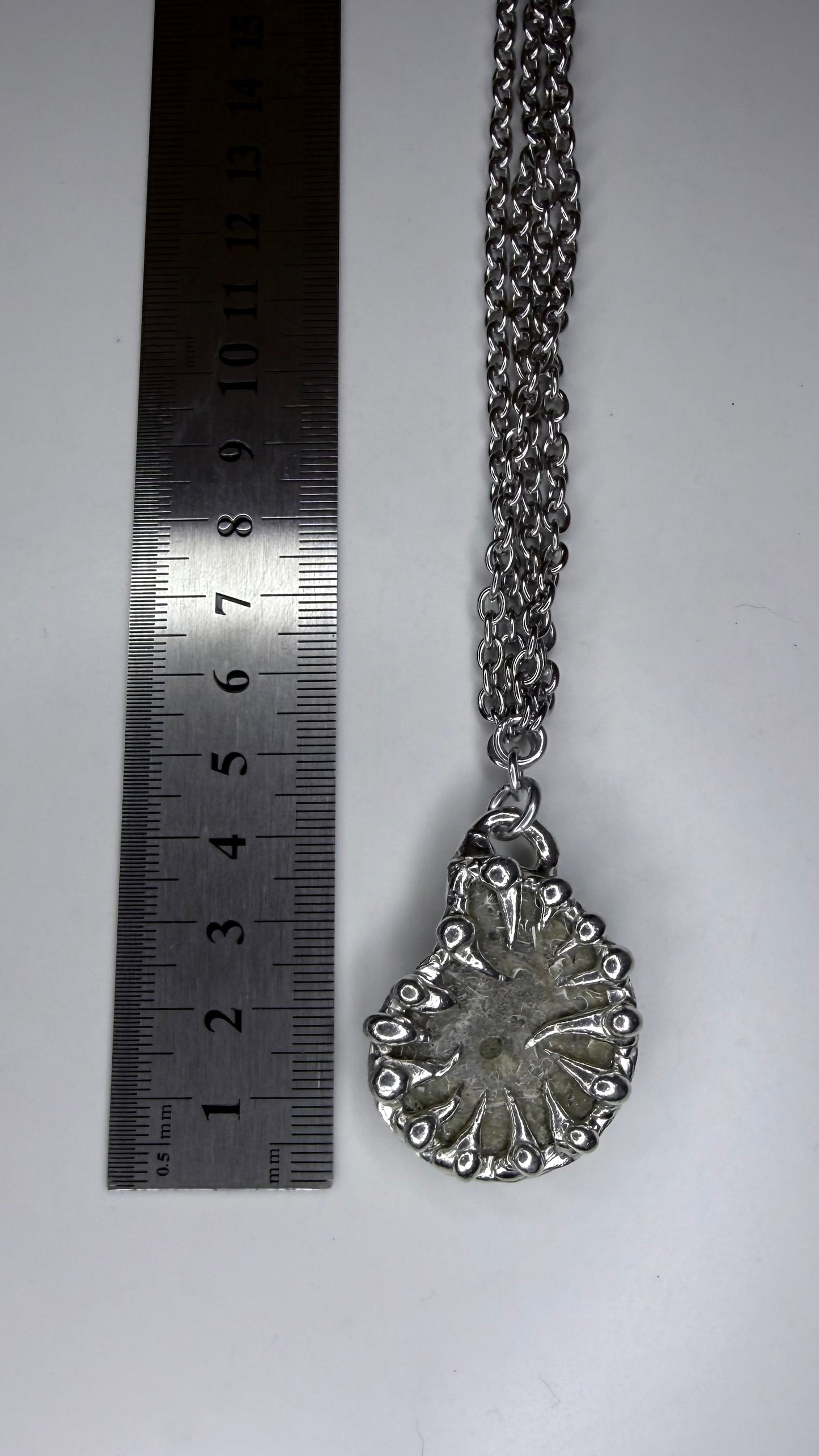 Ammonite Fossil Necklave