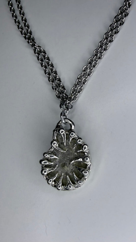 Ammonite Fossil Necklave