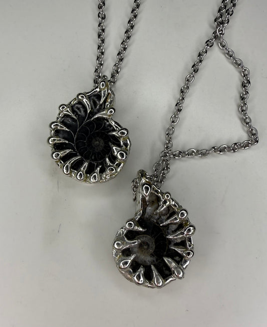 Ammonite Fossil Necklace (black)