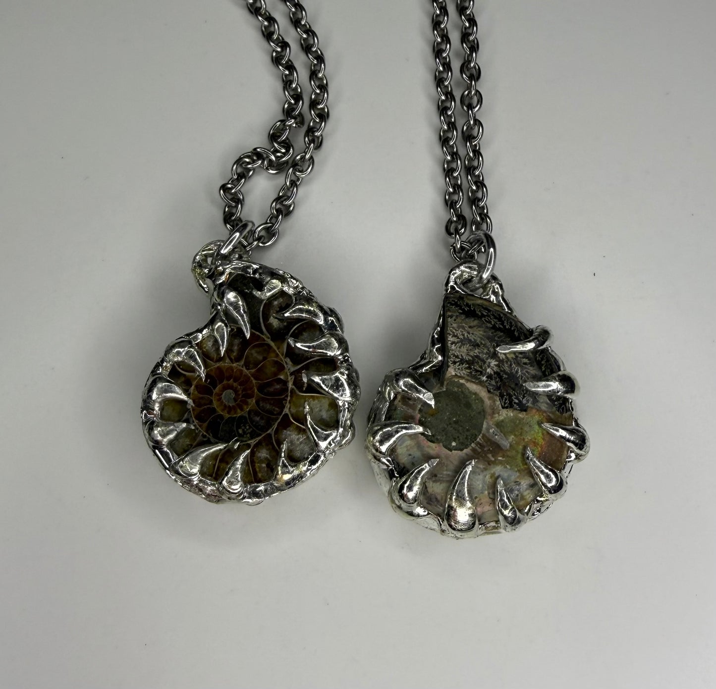 Ammonite Fossil Necklace