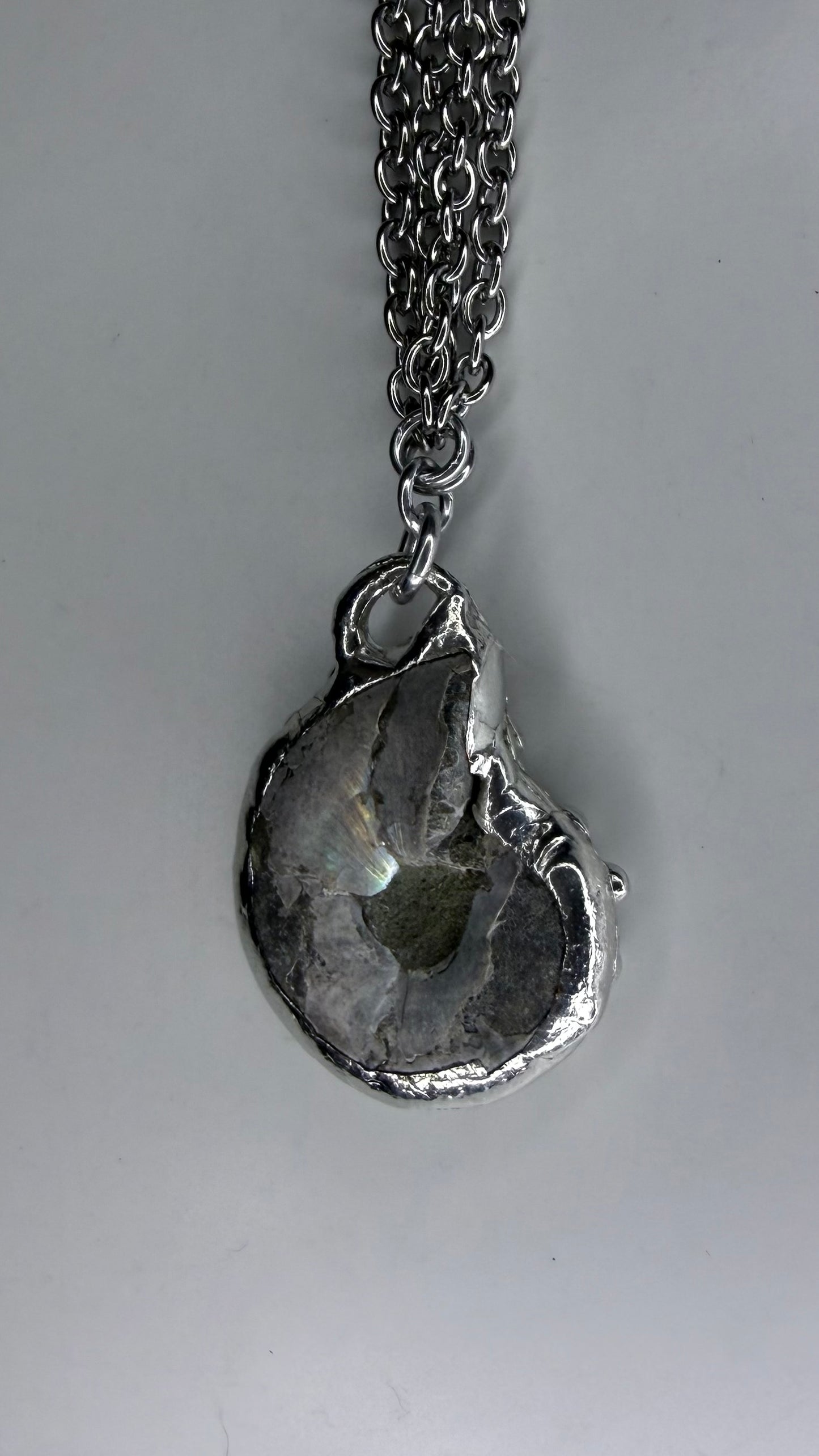 Ammonite Fossil Necklave