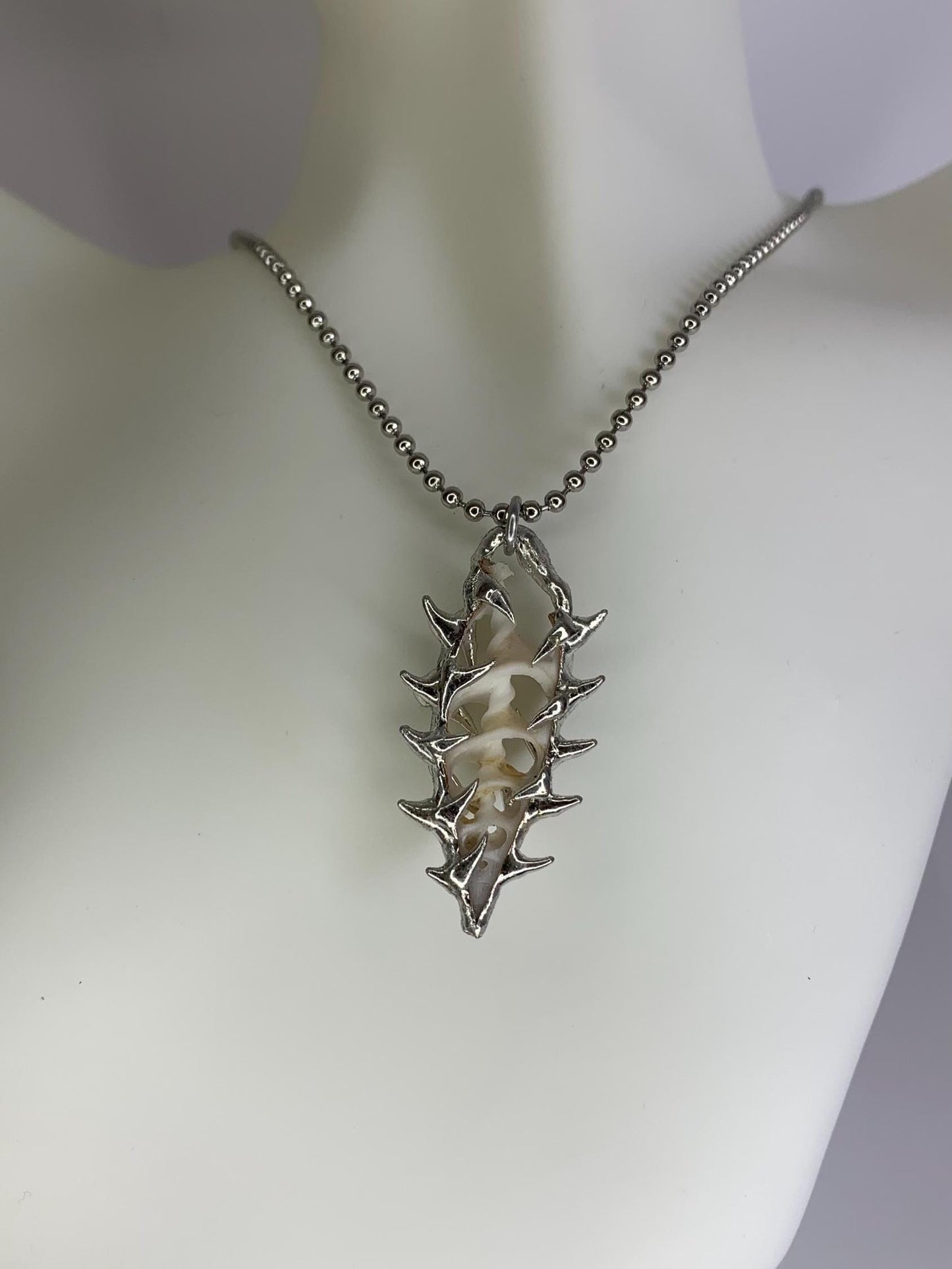 Shell Slice Necklace