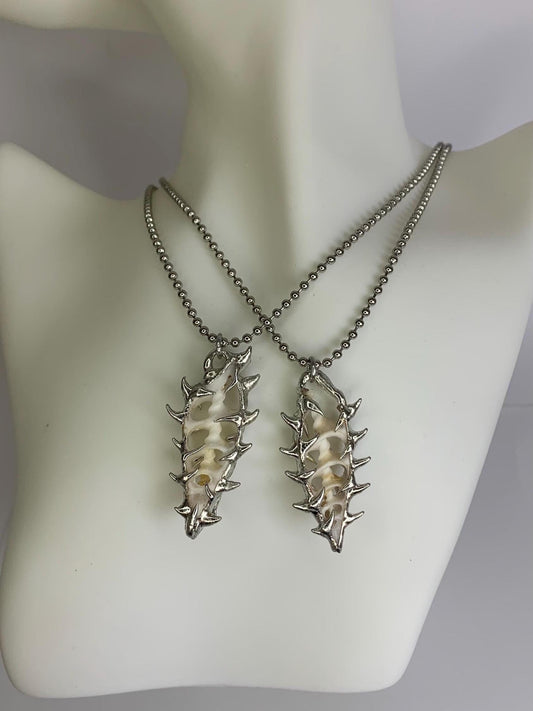 Shell Slice Necklace